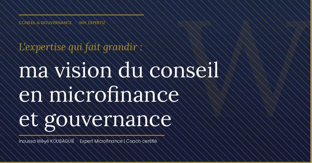 expertise conseil microfinance WiK Expertiz